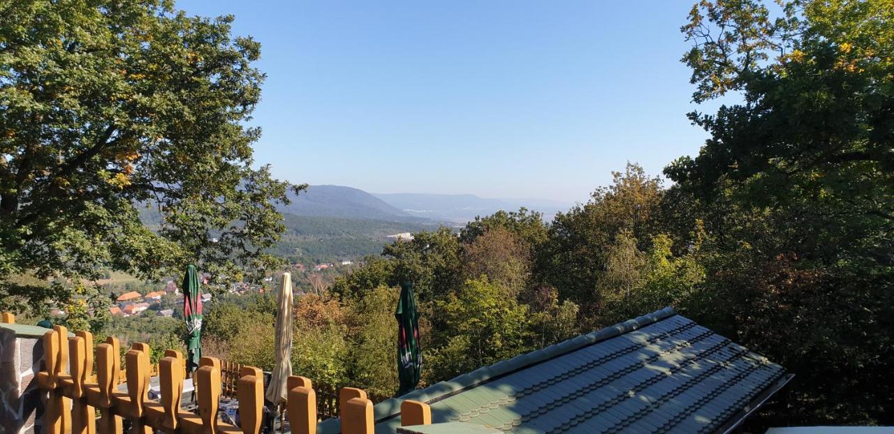 חומוטוב Forrest Hotel מראה חיצוני תמונה